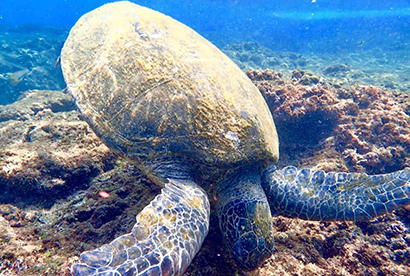 牛奶海 牛奶湖 SUP 龜山島 宜蘭旅遊